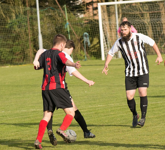 藏着这些好 藏着这些好