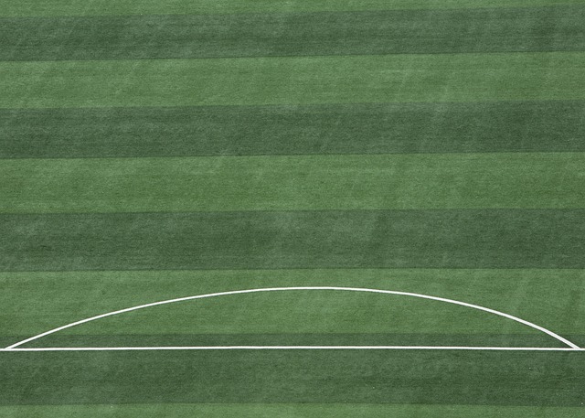 的辉煌传统 的辉煌传统