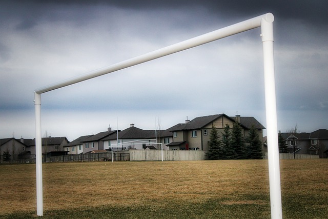 的每场比赛 的每场比赛