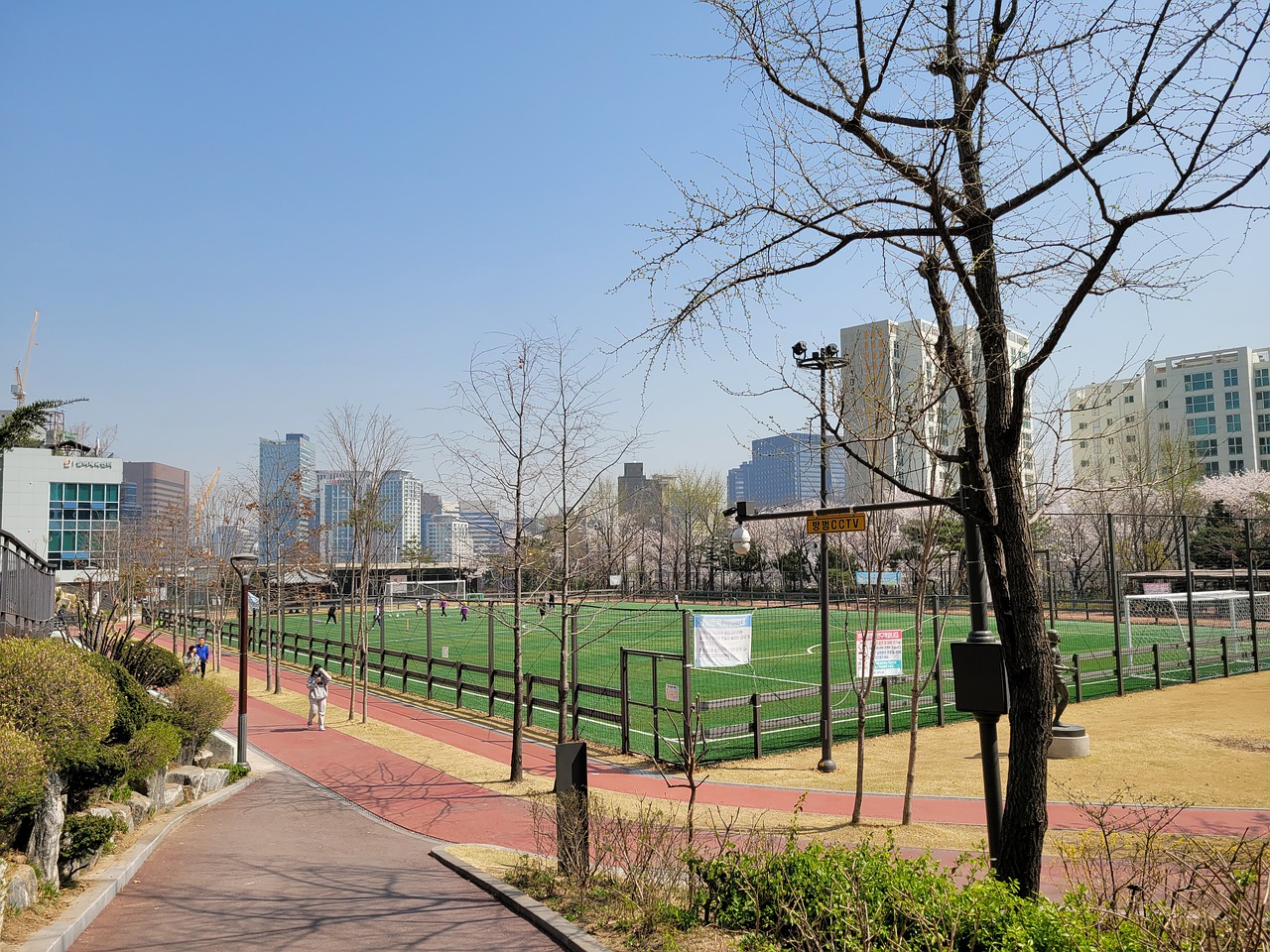 此次大规模 此次大规模