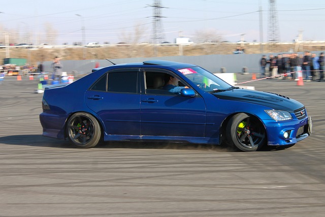 他们的前进 他们的前进