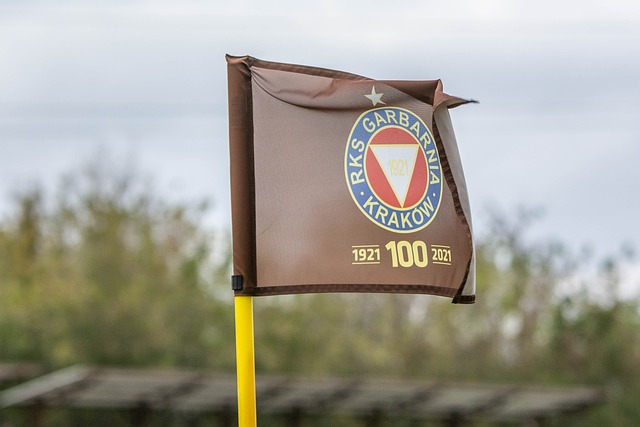 日本选手山 日本选手山