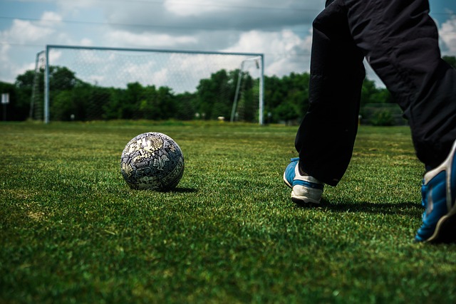 的球員不僅 的球員不僅