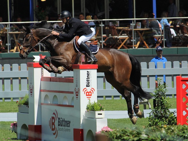 队核心的强 队核心的强