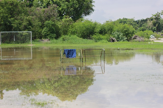 [田径]张国伟复出夺冠：我一直没变.